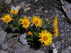100 POUR CENT PUR HAUTES ALPES_000010